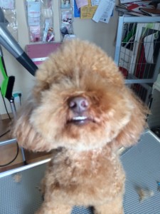写真 2 (1)