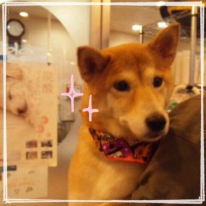 写真 1 (20)