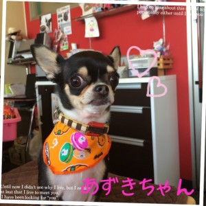 写真 1 (22)
