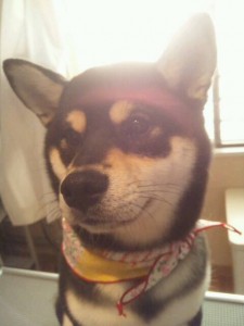 写真 1 (8)