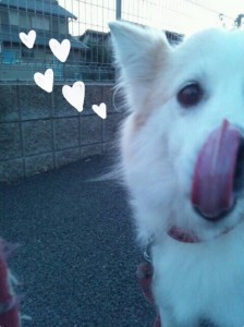 写真 3 (10)