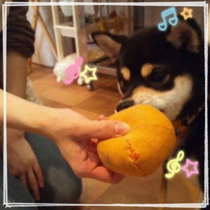 写真 3 (11)