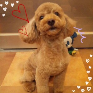 写真 3 (13)