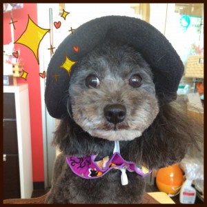 写真 3 (14)
