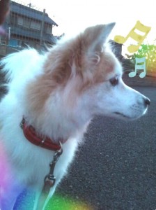 写真 4 (6)