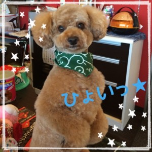 写真 1 (25)