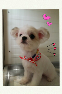 share_2016_07_24_213021